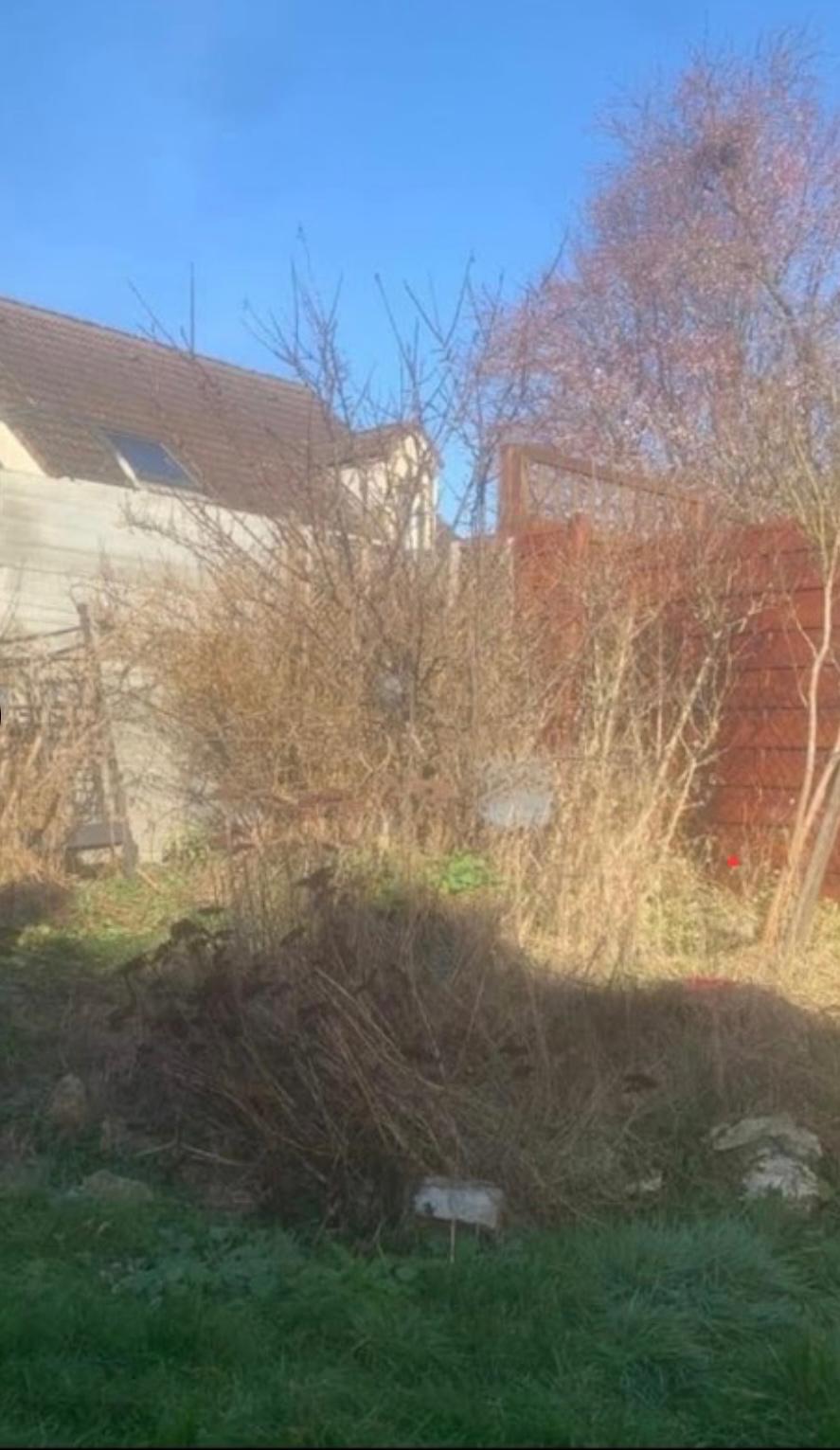 Jardin avec arbres et buissons à entretenir autour d'une maison